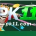 pk11 game